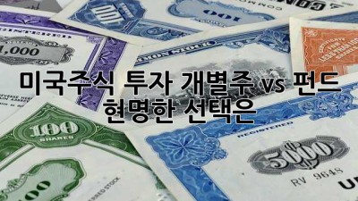 미국주식 투자: 개별주 vs 펀드, 현명한 선택은?